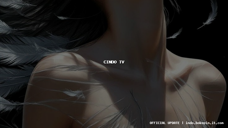 cindo tv