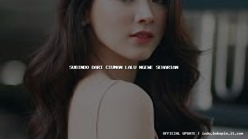 subindo dari ciuman lalu ngewe seharian