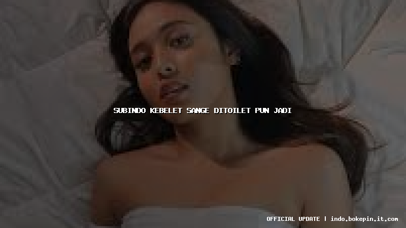 subindo kebelet sange ditoilet pun jadi