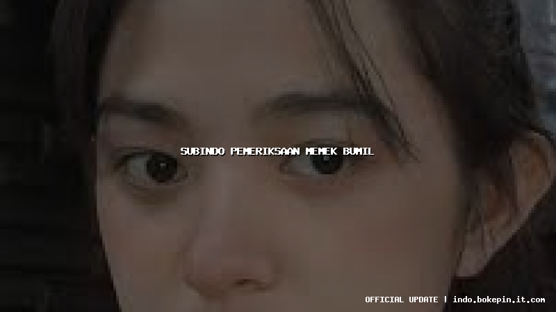 subindo pemeriksaan memek bumil